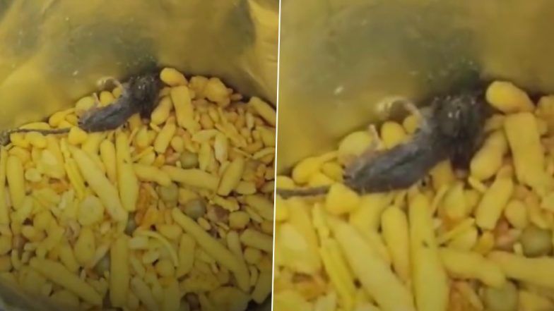 Dead Mouse Found Inside Sealed Khatta Meetha Namkeen Packet in Kanpur Dehat, Probe Launched
