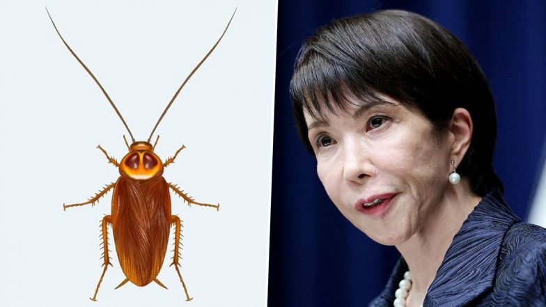 Japan PM Sanae Takaichi Felt &lsquo;A Little Lonely&rsquo; After Staff Removed Her Cockroach Friend
