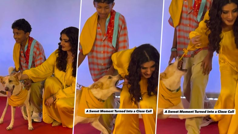 Did Raveena Tandon Get Bit by a Dog at &lsquo;Ohh My Dog&rsquo; Screening in Mumbai? Actress Clarifies Viral Video After Fan Concerns