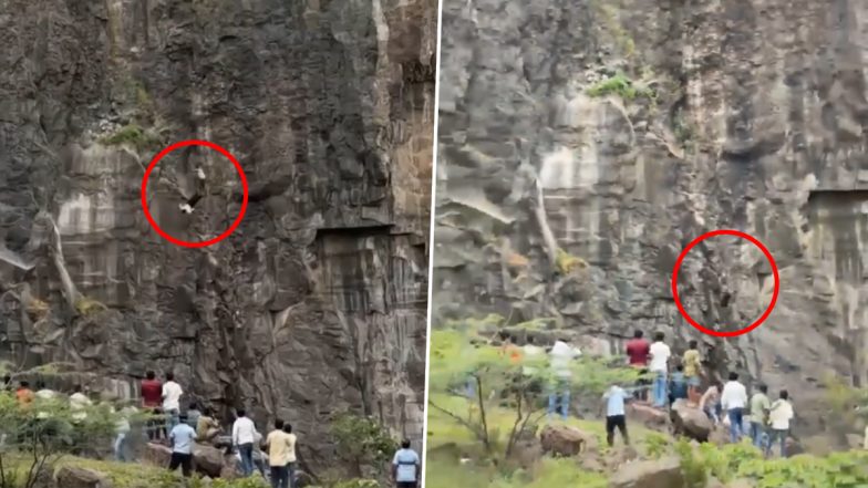Chhatrapati Sambhajinagar: Teen Falls From Khavda Hill, Parents Die While Trying To Save Him (Disturbing Videos)