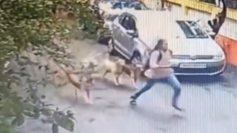 Vasai Dog Menace: Pack Chases Girl in Krishna Township Near Mumbai, Video Surfaces