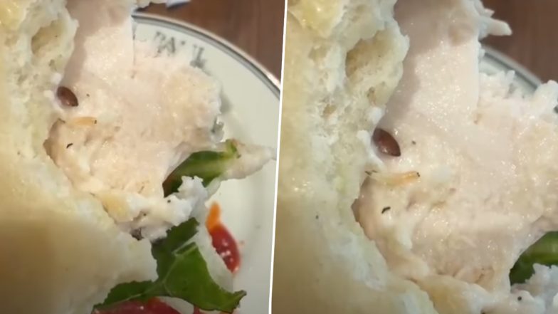 &lsquo;Horrified&rsquo; Diner Finds Live Worm in Sandwich at Paul&rsquo;s Gurugram Restaurant, Video Goes Viral
