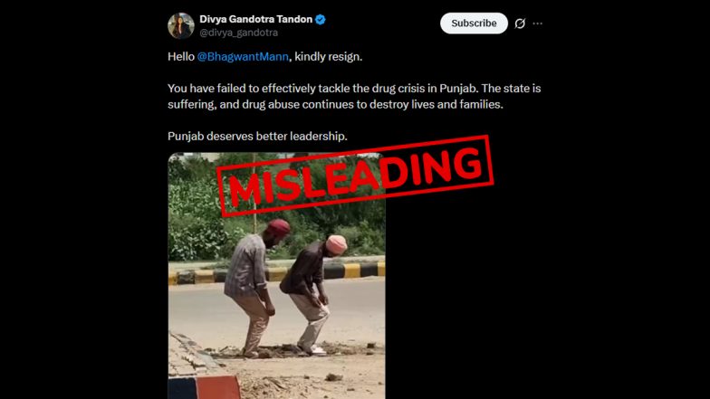 Fact Check: Viral Video of &lsquo;Zombie Drug&rsquo; Users Is From Rajasthan, Not Punjab