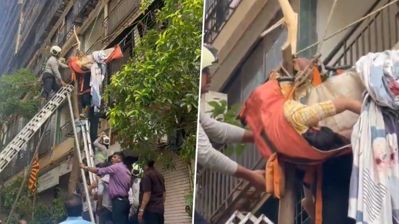 Mumbai: Video Shows Dramatic Rescue of Woman Who Fell From 10th Floor in Bhandup