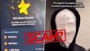 25 August 2026 &lsquo;Mystery&rsquo; Telegram Video: Was the &lsquo;Big Reveal&rsquo; a Scam?