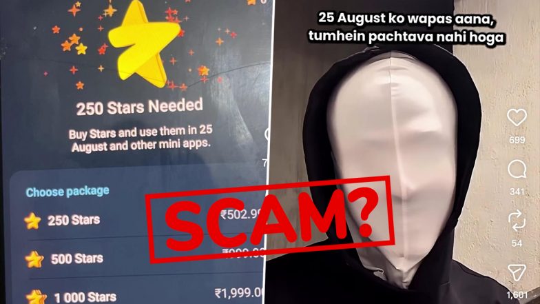 25 August 2026 &lsquo;Mystery&rsquo; Telegram Video: Was the &lsquo;Big Reveal&rsquo; a Scam?