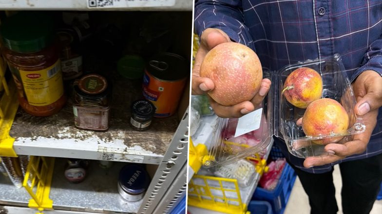 Maharashtra FDA Suspends Blinkit, Zepto, Instamart Licences Over Severe Hygiene And Pest Violations