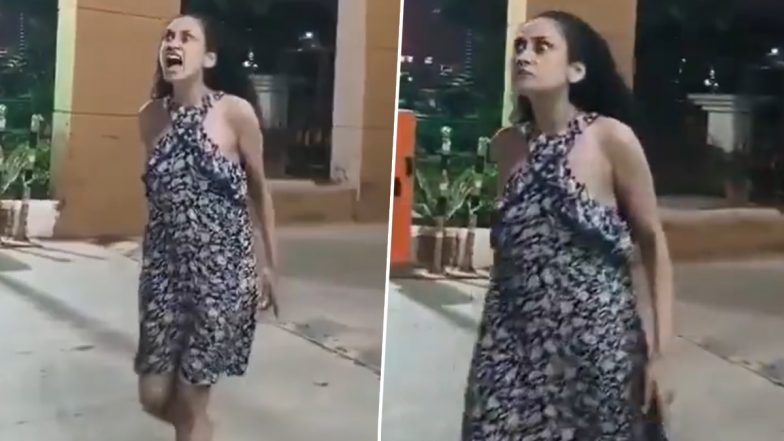 &lsquo;I&rsquo;ll Make You Clean My Shoes&rsquo;: Woman Abuses, Attacks Security Guards at Centurion Park Terrace Homes Over Food Delivery (Video)