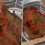 PAUL India Under Fire Again; Viral Video Shows Live Maggots Found in Bakery Product at Pune Outlet