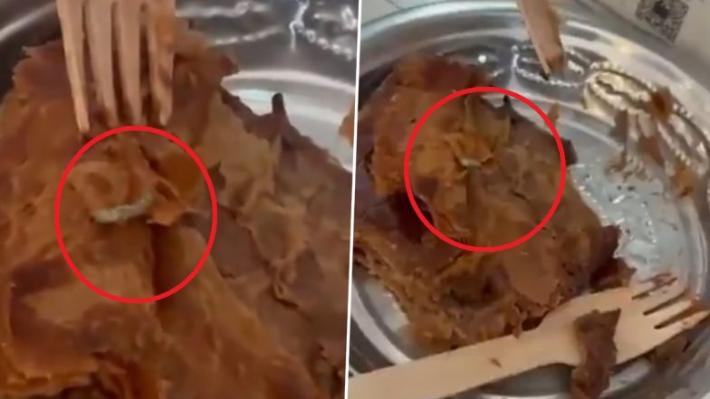 PAUL India Under Fire Again; Viral Video Shows Live Maggots Found in Bakery Product at Pune Outlet