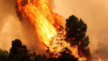 How to Better Protect Europe from Wildfires