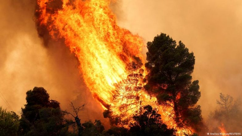 How to Better Protect Europe from Wildfires