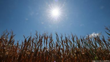 Designing Food for a Hotter World