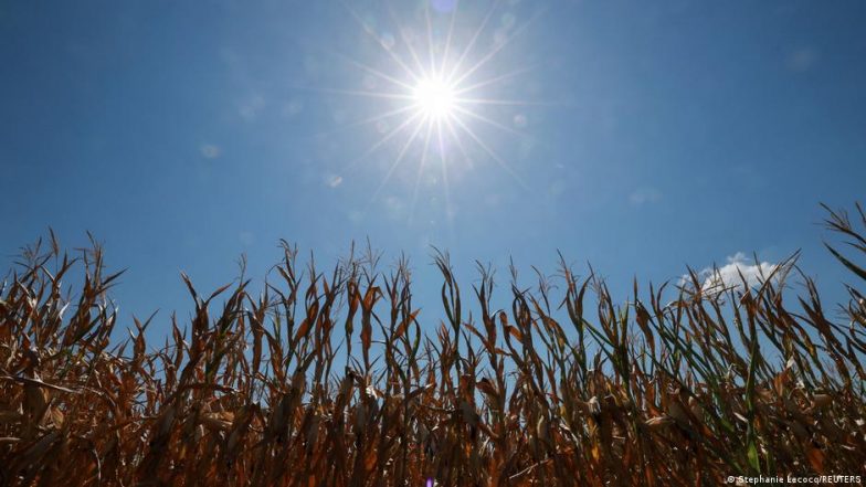 Designing Food for a Hotter World