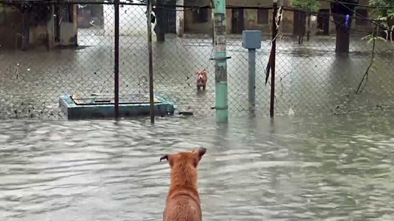 India News | IMD Issues Red Alert for Heavy Rain, Thunderstorms in Gujarat, Kerala