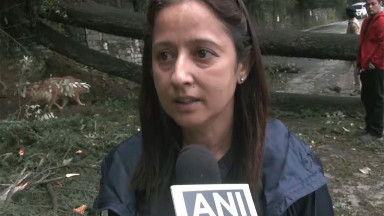 India News | Uprooted Deodar Tree Blocks Road Near CM's Official Residence in Shimla; More Trees Pose Risk, Says Local Councillor