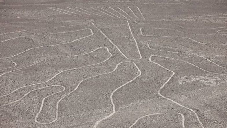 World News | Tourist Plane Crash Leaves 13 Dead Near Nazca Lines in Peru