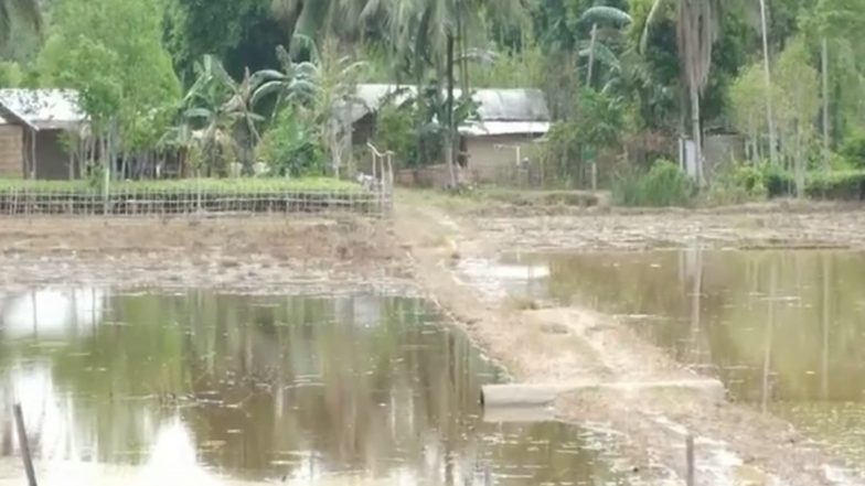 India News | Assam Floods: Improvement in Golaghat but Families Remain Displaced; Locals Demand Alternate Drainage Channel