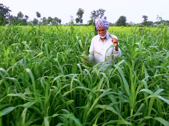 Business News | Every Rs 1 Invested Under KCC Interest Subsidy Scheme Generates Rs 2.30 in Agricultural Value: Govt