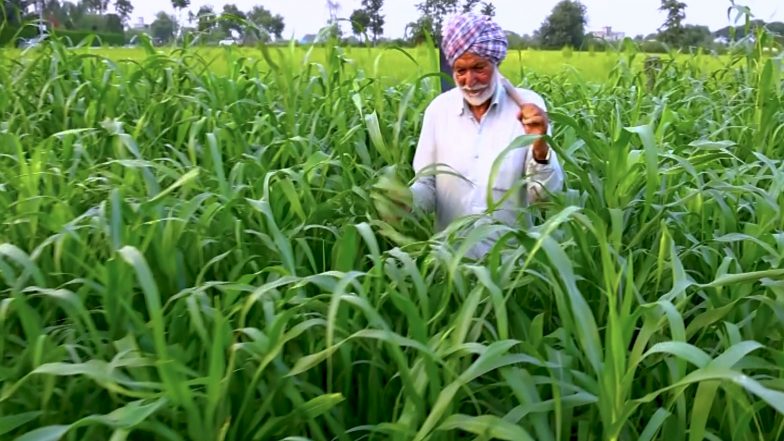 Business News | Every Rs 1 Invested Under KCC Interest Subsidy Scheme Generates Rs 2.30 in Agricultural Value: Govt