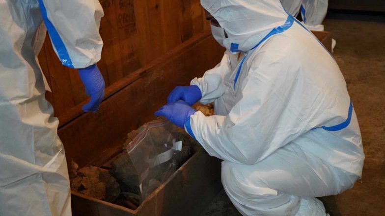 India News | Unlocking Kashi's Ancient Past: BHU Launches Genetic, Bio-archaeological Study on Rajghat Skeleton