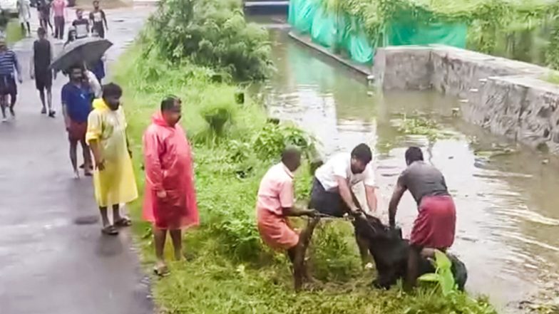 India News | Keralam's Kuttanad Region Continues to Reel Under Effects of Flood and Heavy Rain