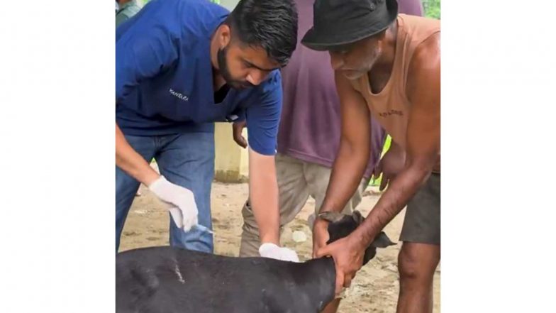 India News | CM Himanta Lauds Vantara Foundation for Wildlife Rescue Support Amid Assam Floods