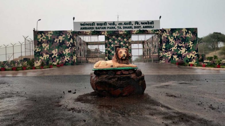 India News | World Lion Day: Gujarat to Set Up 100-hectare Enclosure at Ambardi for Lions Involved in Human Attacks