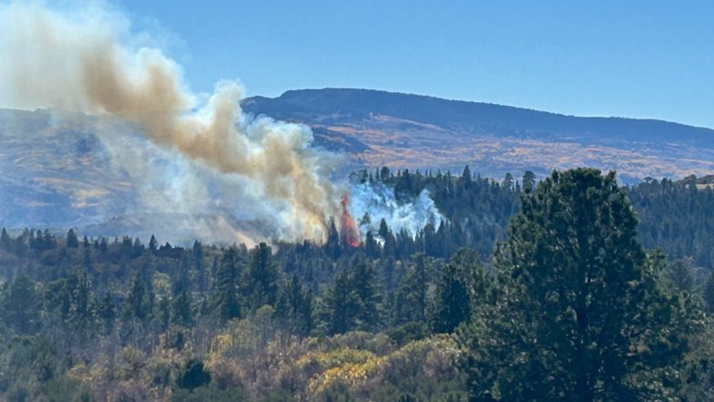 World News | Two Pilots Killed in US Firefighting Helicopter Crash