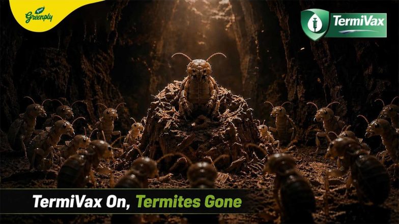 Business News | Greenply Launches Termivax, India's First Anti-Termite Vaccinated Technology in Plywood