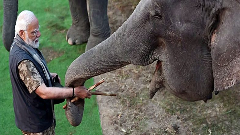 India News | PM Modi Highlights India's Elephant Conservation Efforts on World Elephant Day
