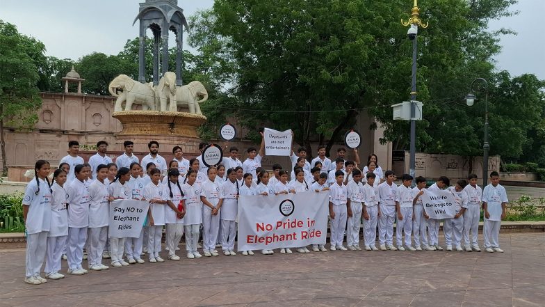 Business News | World Animal Protection Appeals to Chief Minister of Rajasthan to End Elephant Rides on Occasion of World Elephant Day