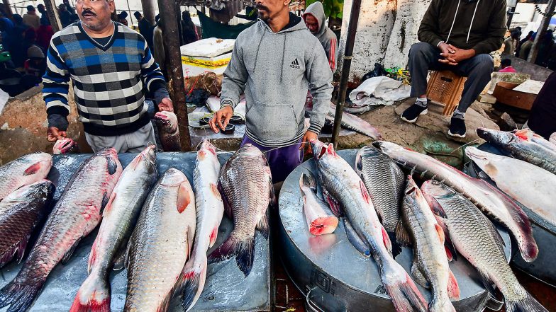 India News | NGT Seeks Responses from Karnataka Authorities over Mass Fish Mortality in Belagavi Lake, Transfers Case to Chennai Bench