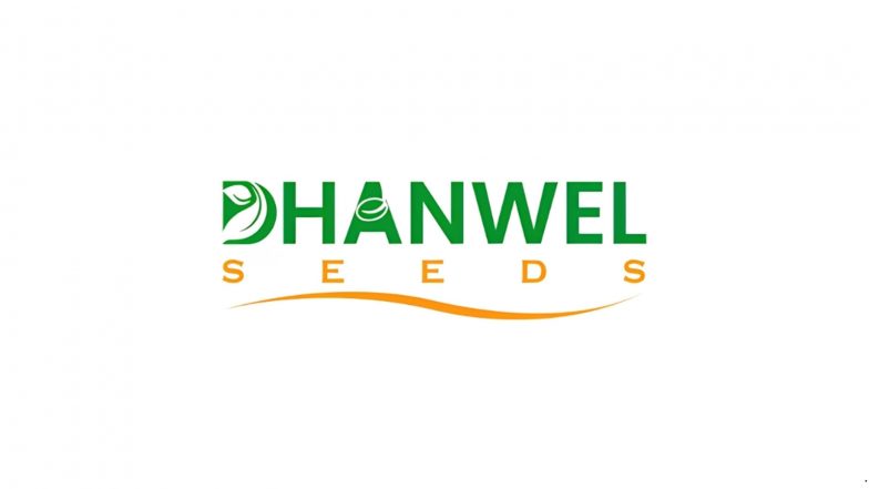 Business News | Dhanwel Hybrid Seeds Limited's IPO Opens from August 19, 2026 to August 21, 2026; Price Band Fixed at Rs. 95 to Rs. 99 Per Equity Share