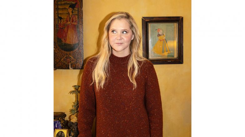 Entertainment News | Actor-comedian Amy Schumer to Star and Produce Film 'Best Divorce Ever'