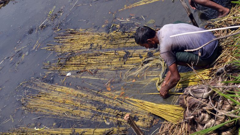 India News | Andhra Pradesh: Farmers Demand Water for KC Canal as Srisailam Stands at 878 Feet
