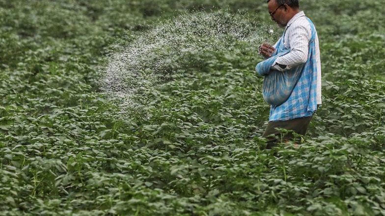Business News | Fertiliser Sector Seen Committing Up to Rs 90,000 Cr Capex over Next Six Months: ICRA