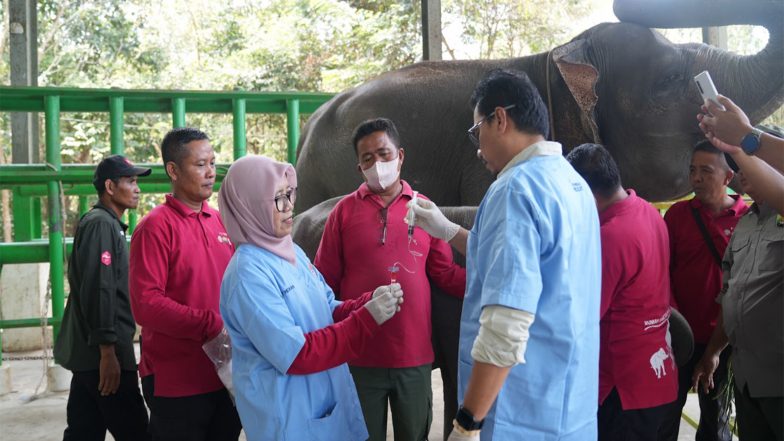 Entertainment News | Indonesia and Vantara Launch Major Wildlife Health and Conservation Partnership