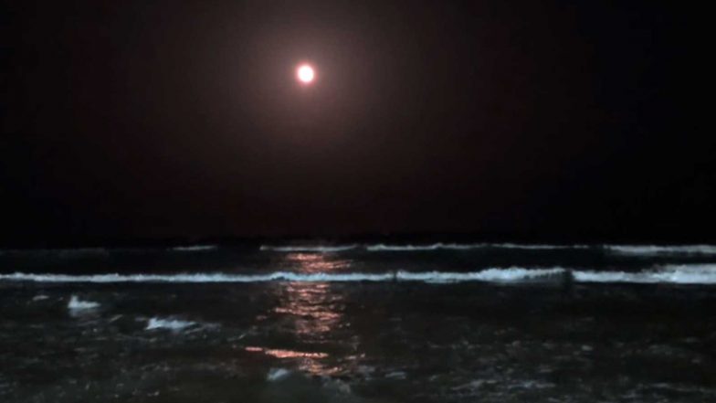 Entertainment News | Avani Full Moon Brings Rare Sight as Sea Recedes Nearly 100 Feet at Tiruchendur