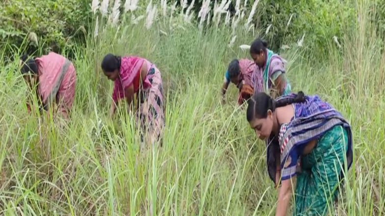 India News | Passion Blooms, Forests Thrive: PM Modi Spotlights Inspiring Women from Nagaland, Odisha in 137th 'Mann Ki Baat'