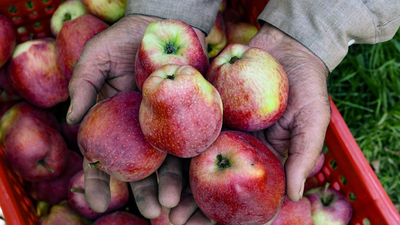 India News | Adani Agri Fresh Announces Apple Procurement Rates for August 31