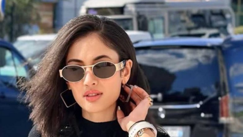 Actor Aditi Sharma Files Domestic Violence Case Against Husband and In-Laws