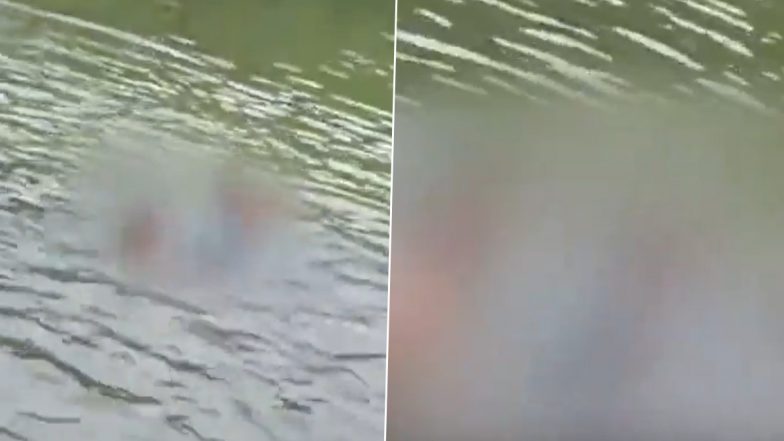 Alwar School Principal Under Fire After Viral Video Shows Him Bathing 'Naked' in Bharaj Dam With Female Students
