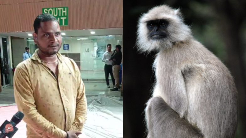 Organisers Deploy 'Langur Mimics' to Fend Off Monkey Menace at BWF World Badminton Championships 2026 in New Delhi