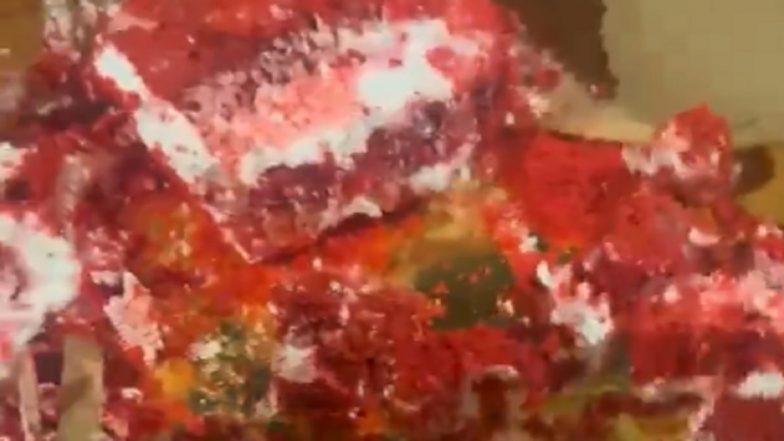 Ghaziabad Family Falls Ill After Eating Birthday Cake Containing Mould and Insects at Ramnagar Resort; Probe Launched