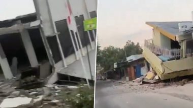 Earthquake in Indonesia: Quake of Magnitude 7.7 Strikes East Nusa Tenggara Province; Tsunami Warning Issued (Videos)