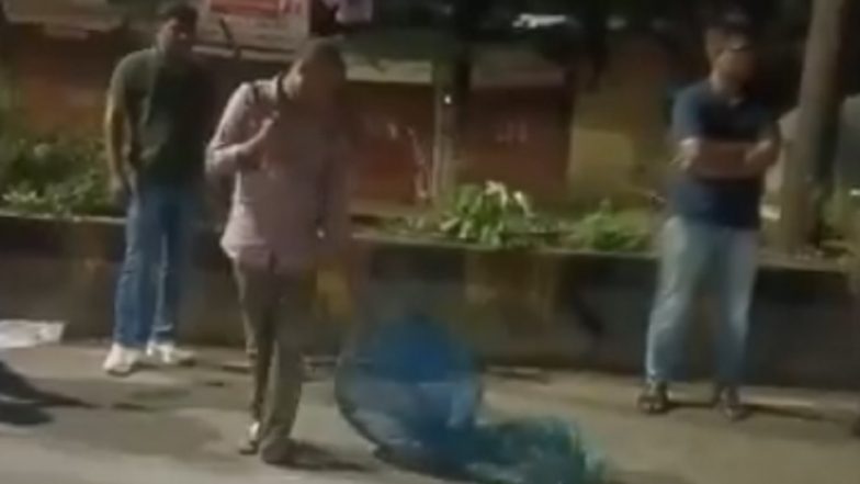 Kalyan Dog Attack: Over 130 Injured After Stray Dog Goes on Biting Spree in Adharwadi; Animal Captured Successfully (Videos)