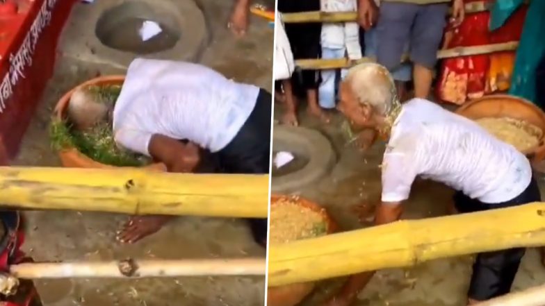 Who Is Budhiram? Maharajganj Elderly Man Behaves Like a Buffalo During Nag Panchami, Claims Mahishasura Possession (Video)