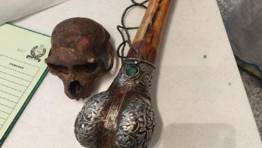 Delhi: CISF Detains Traveller at IGI Airport Carrying Monkey Skull to Hyderabad (See Pics)