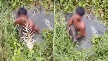 Odisha Wild Boar Attack Video: Teen Battles Animal in Cuttack Canal, Holds It Until Rescue